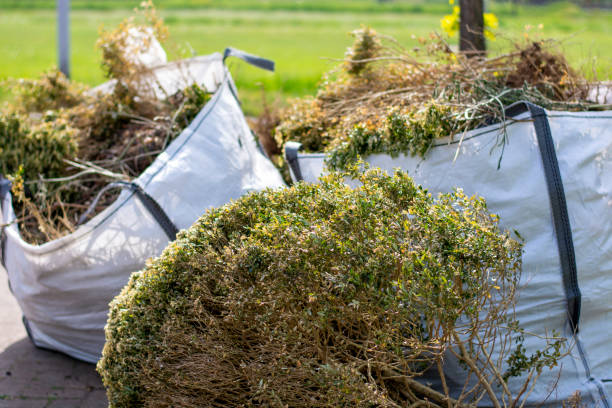 Best Moving and Downsizing Cleanouts  in Archie, MO