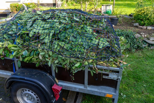 Best Same-Day Junk Removal Services  in Archie, MO